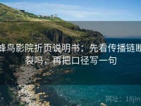 蜂鸟影院折页说明书：先看传播链断裂吗，再把口径写一句