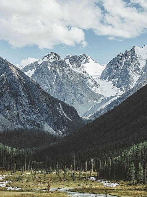 菠萝TV三连问：先问时间窗有没有省，再把结尾改成摘要