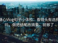 糖心Vlog句子小体检：看镜头有选择吗，做把结尾改摘要，就够了