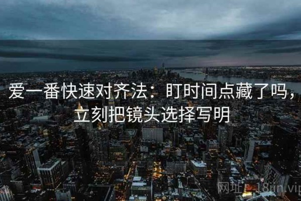 爱一番快速对齐法：盯时间点藏了吗，立刻把镜头选择写明