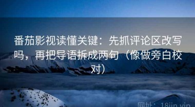 番茄影视读懂关键：先抓评论区改写吗，再把导语拆成两句（像做旁白校对）