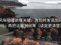 风车动漫读懂关键：先抓转发语加码吗，再把证据列出来（读完更清楚）