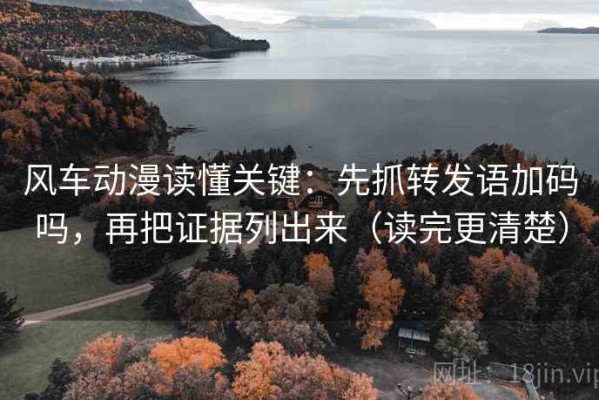 风车动漫读懂关键：先抓转发语加码吗，再把证据列出来（读完更清楚）