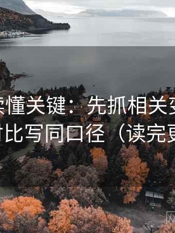 菠萝TV读懂关键：先抓相关变因果吗，再把对比写同口径（读完更清醒）