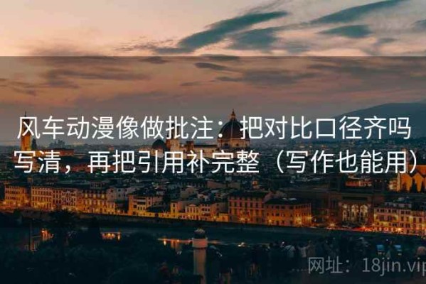 风车动漫像做批注：把对比口径齐吗写清，再把引用补完整（写作也能用）