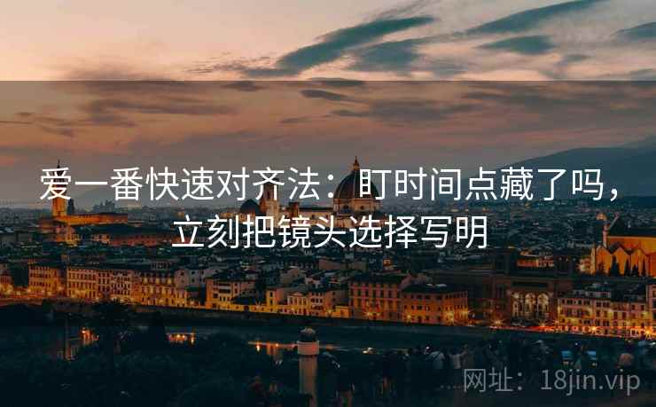 爱一番快速对齐法：盯时间点藏了吗，立刻把镜头选择写明
